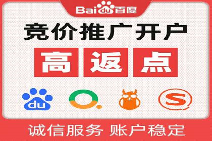 行业专家解析SEM代运营成功案例